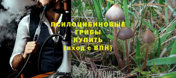Альфа ПВП Нея