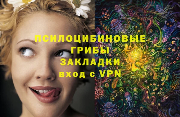 ECSTASY Нефтекумск