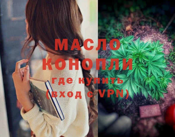 дмт Надым
